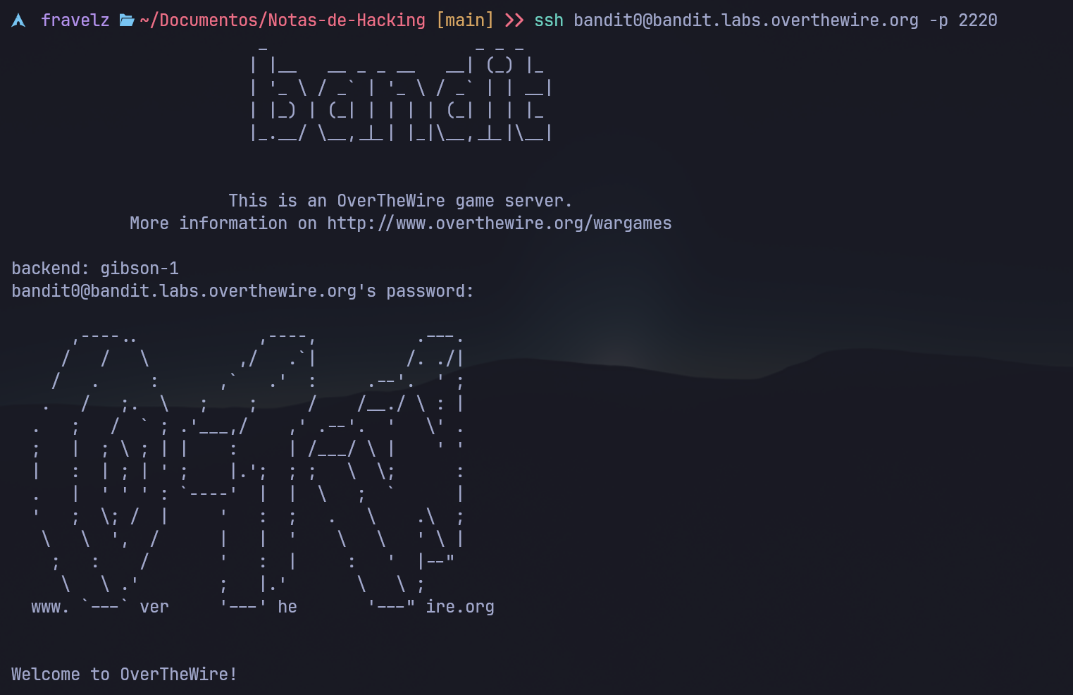 Imagen de terminal de bandit